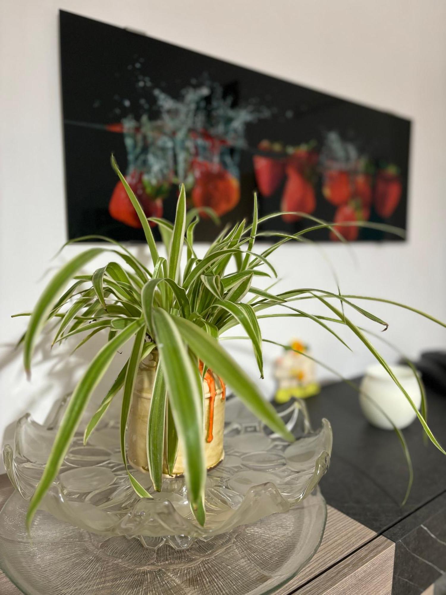 Vivi Aguilera Apartament Boloňa Exteriér fotografie